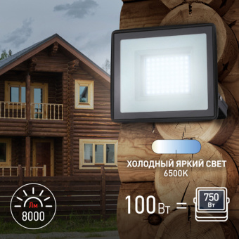 Прожектор светодиодный ЭРА, 100 (830) Вт, 6500 К, 8000 Лм, IP65, черный, LPR-023-0-65K-100, Б0052026 за 2 656 ₽. Прожекторы. Доставка по России. Без переплат!