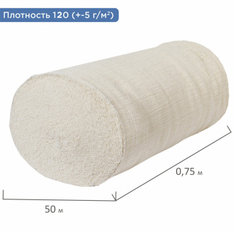 Полотно нитепрошивное (НЕТКОЛ), Узбекистан, рулон 0,75х50 м, 120 (±5) г/м2, в пакете, LAIMA, 607523 за 3 910 ₽. Технические ткани в рулоне. Доставка по России. Без переплат!