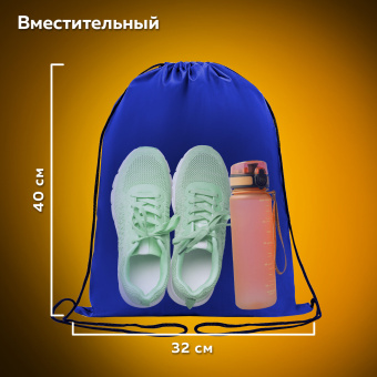 Мешок для обуви ПИФАГОР, 1 отделение, 40х32 см, синий, 271617 за 354 ₽. Мешки для обуви. Доставка по России. Без переплат!